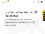 Vorschaubild: Landesvorsitzender der JEF im Landtag