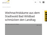 Vorschaubild: Weihnachtsbäume aus dem Stadtwald Bad Wildbad schmücken den Landtag